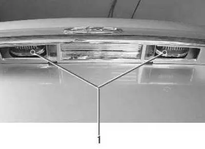 1 – license plate light bulbs, bulb type C 5W.
