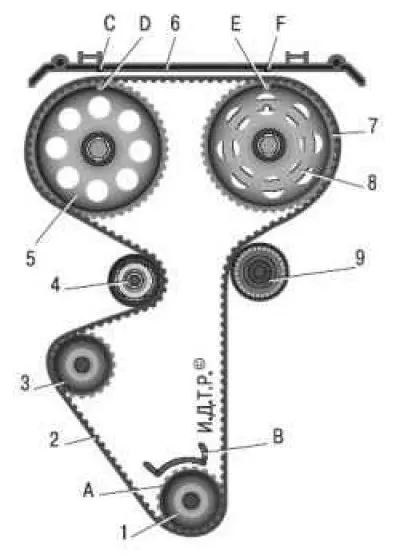 Figure 5.4. Timing drive diagram: 1 – toothed pulley of the crankshaft; 2 – toothed belt; 3 – water…