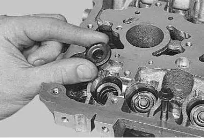 15. Remove the spring plate.