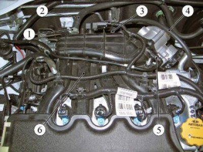 Рисунок 8-15 - Шланги и трубки, подходящие к…